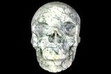Realistic, Polished Tree Agate Skull #151195-1